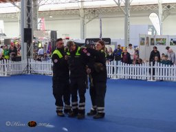 Haustiermesse am 1.03.2026